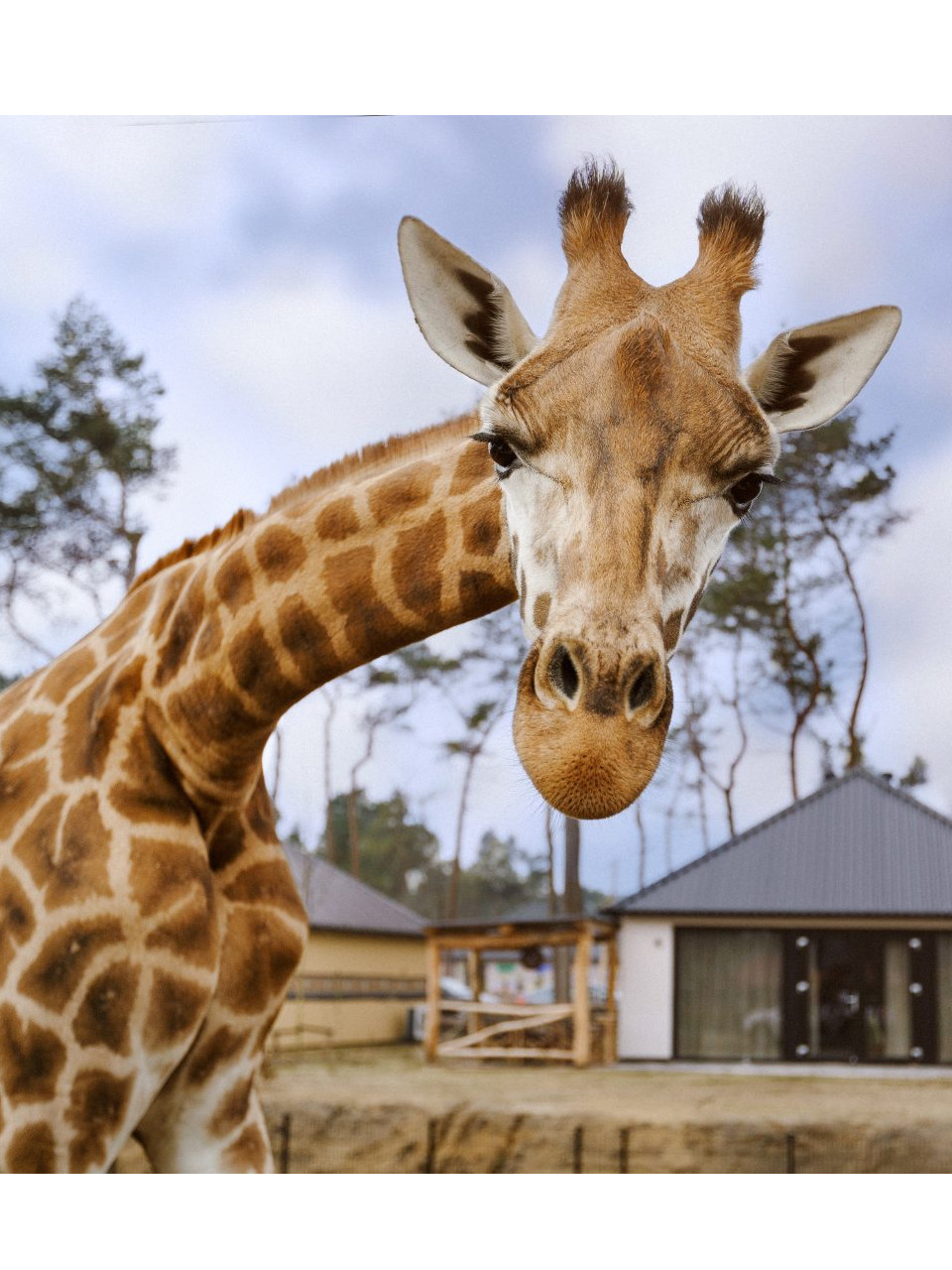 ICT teamdag 26 november